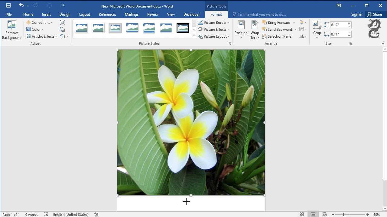 Kako narediti sliko, ki ustreza celotni strani v programu Microsoft Word 2013