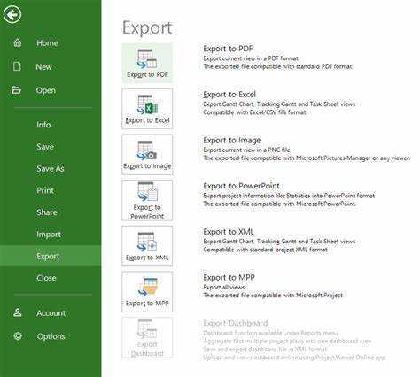 Kaip eksportuoti Microsoft Project į PDF